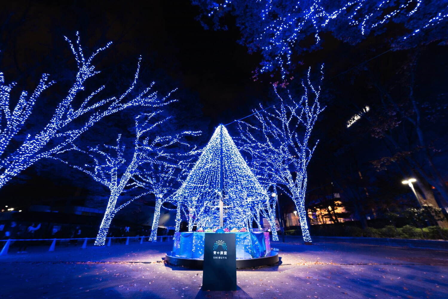 東京_青之洞窟 SHIBUYA