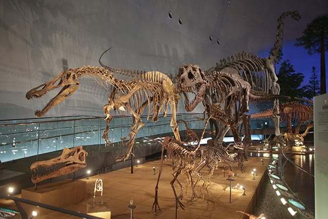 福井縣立恐龍博物館