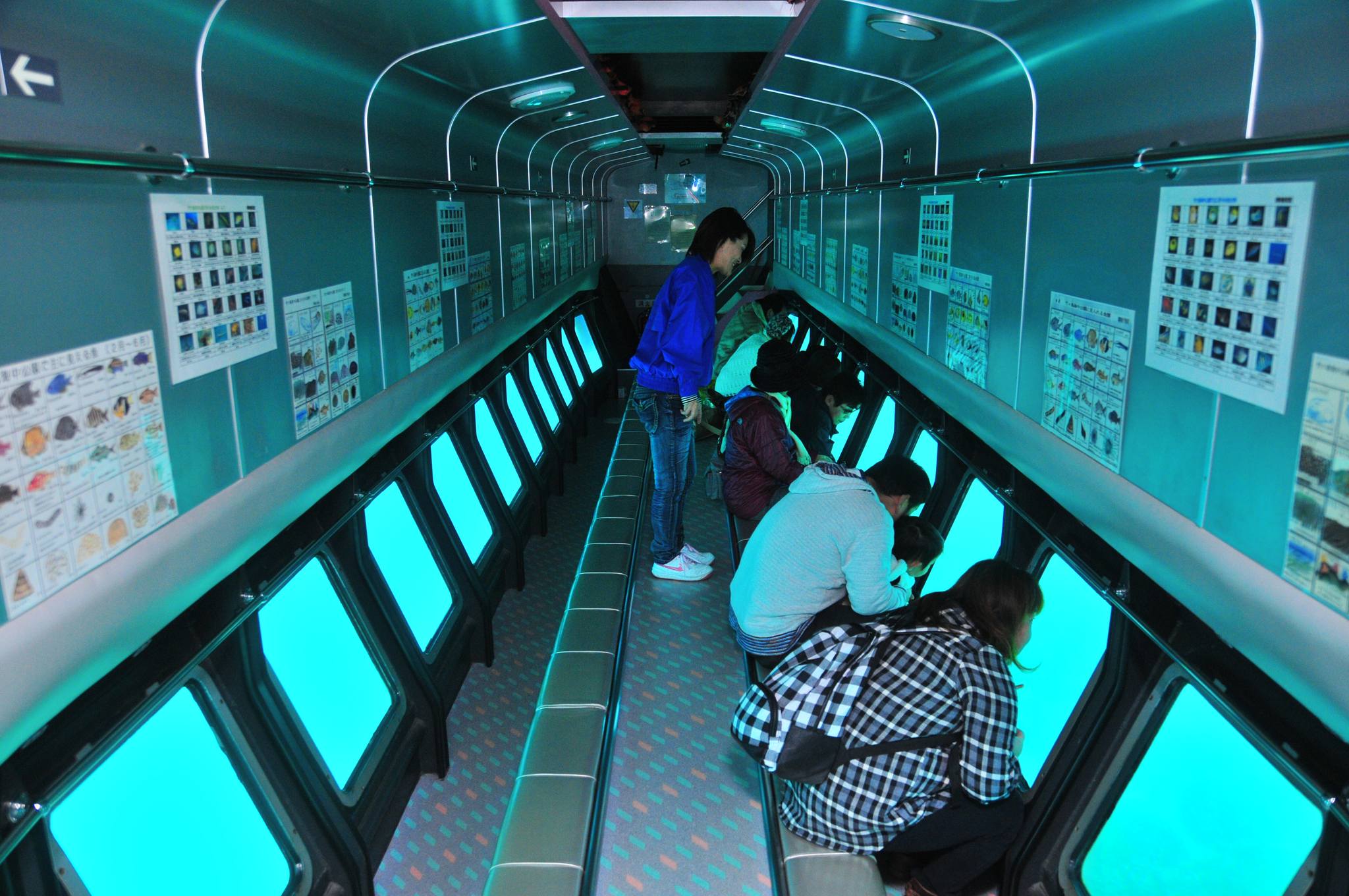 徳島景點 竹島 水下觀光船