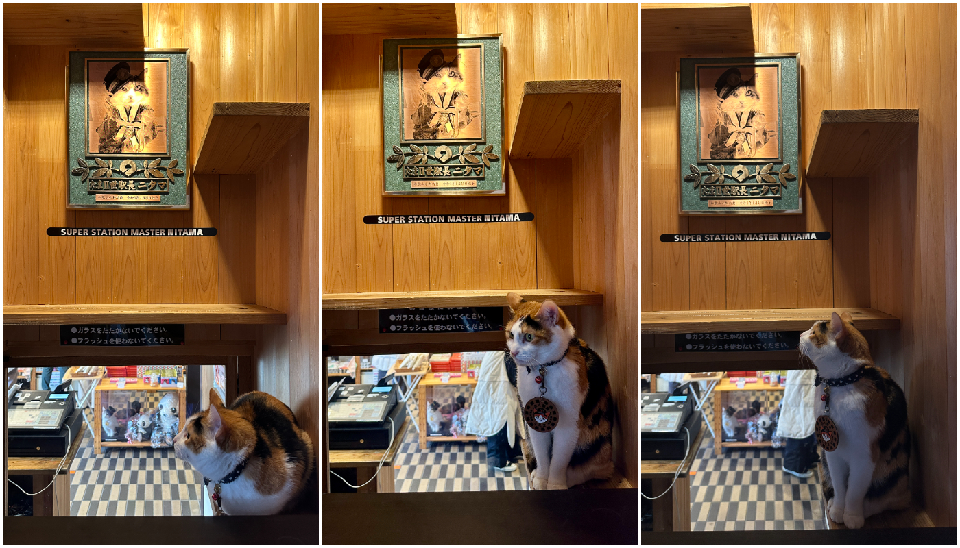 Club Tourism International Inc._一日遊_和歌山_貴志站_小玉貓站長