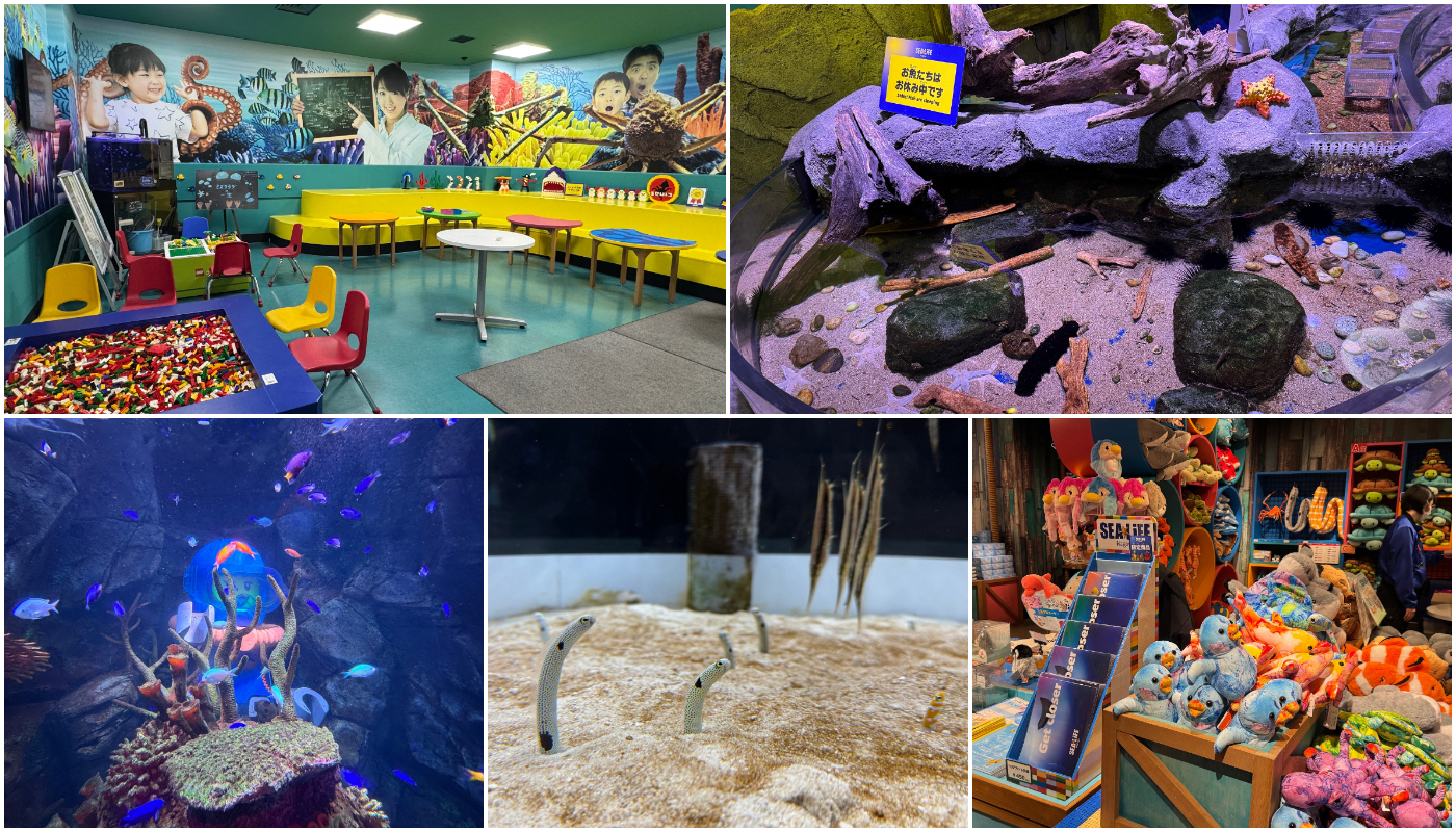 樂高樂園酒店_LEGO LAND RESORT_SEA LIFE