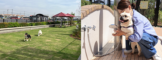 三井OUTLET木更津