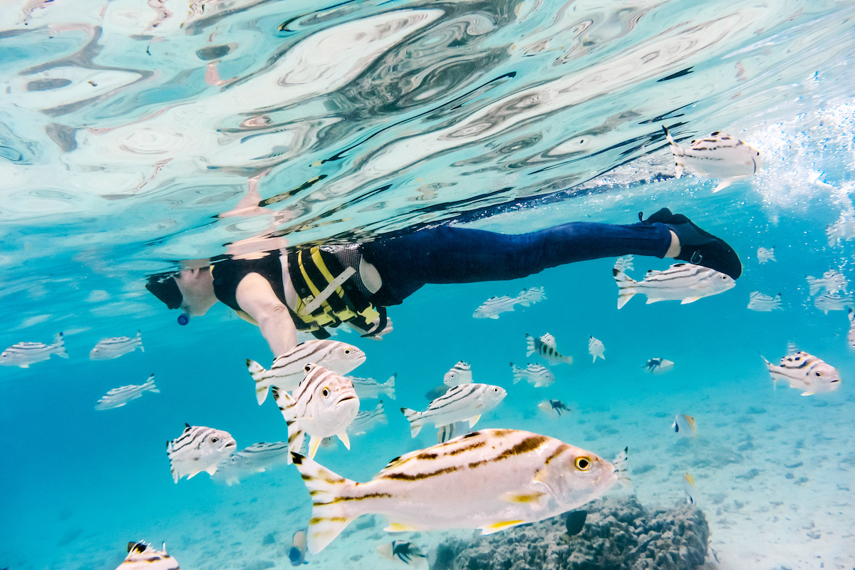 seven x seven 石垣 周邊觀光景點