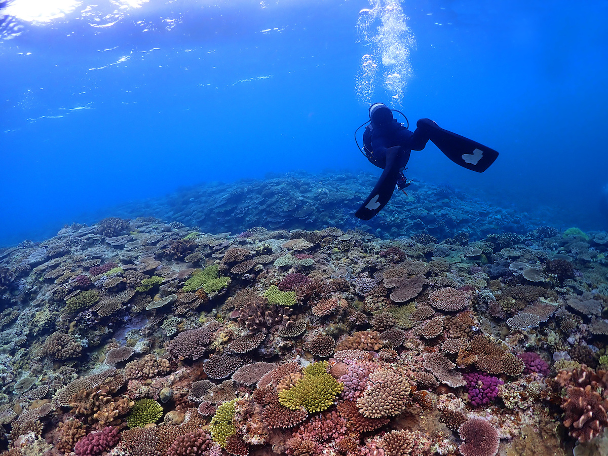 seven x seven 石垣 周邊觀光景點
