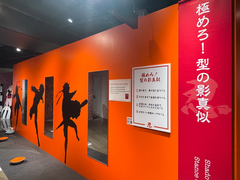 極めろ!型の影真似