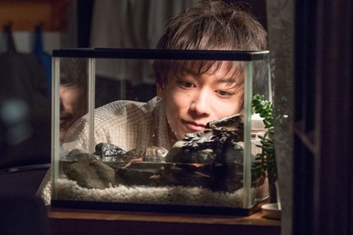 《一半,藍天》-佐藤健