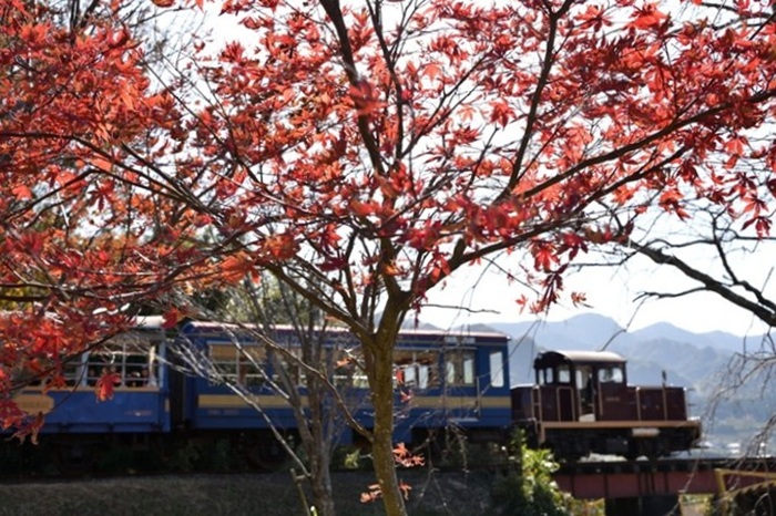 「南阿蘇鐵道 高森線」