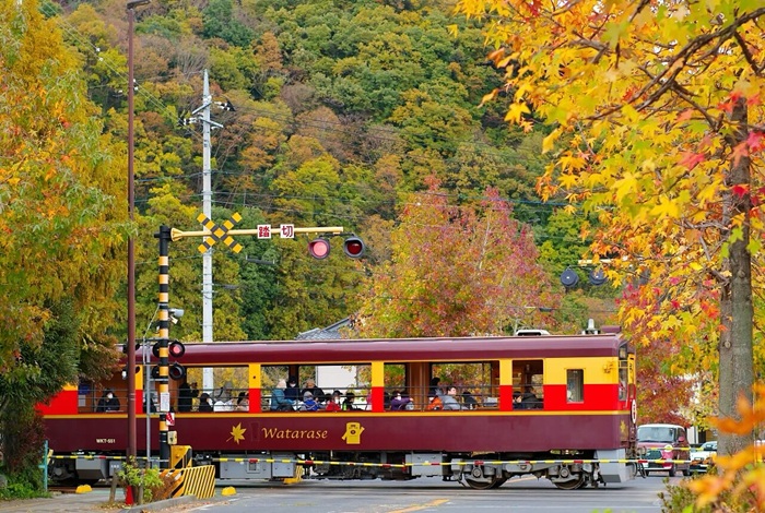 わたらせ渓谷鐵道トロッコ列車