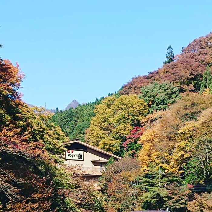 四万温泉 やまぐち館