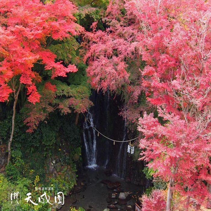 箱根湯本温泉 天成園