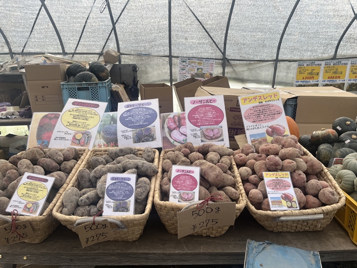 日本9月必吃「馬鈴薯＆地瓜」