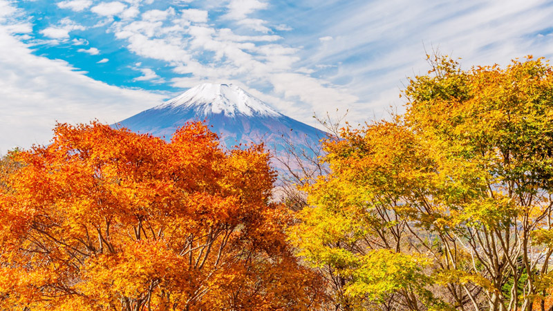 二十曲峠展望公園