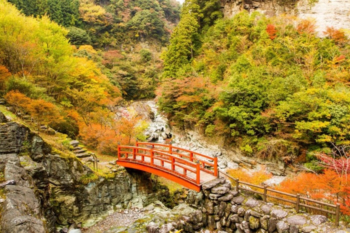 四國紅葉推薦景點-高知 安居溪谷