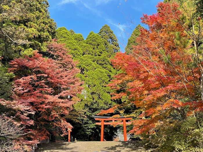 九州紅葉推薦景點-鹿兒島 霧島