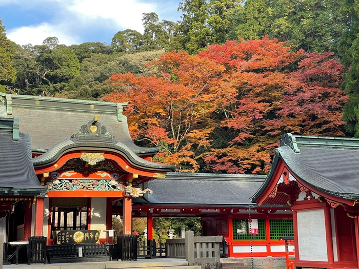 九州紅葉推薦景點-鹿兒島 霧島
