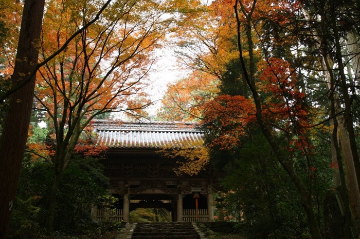 四國紅葉推薦景點-愛媛 西山興隆寺