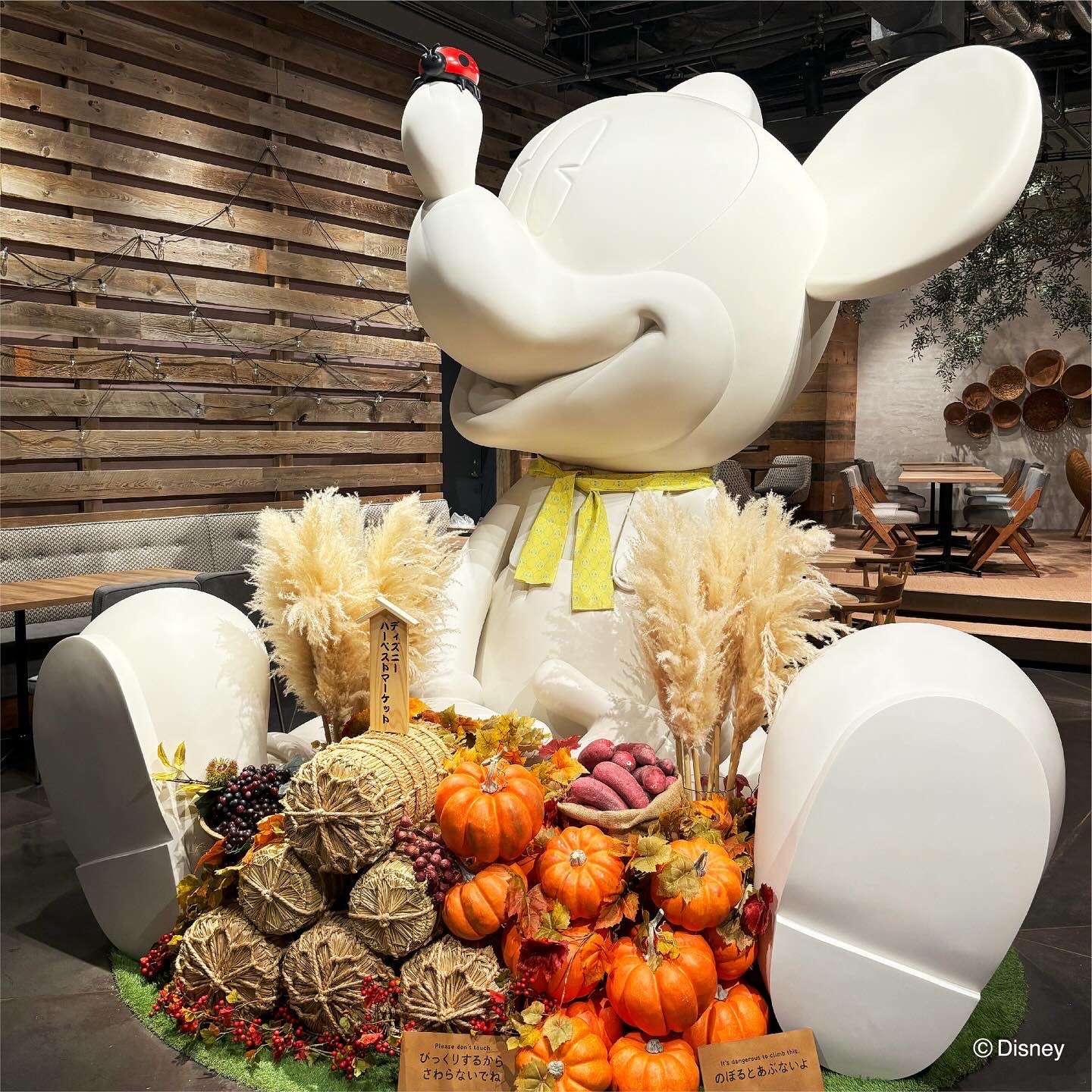 秋冬風格米奇布置