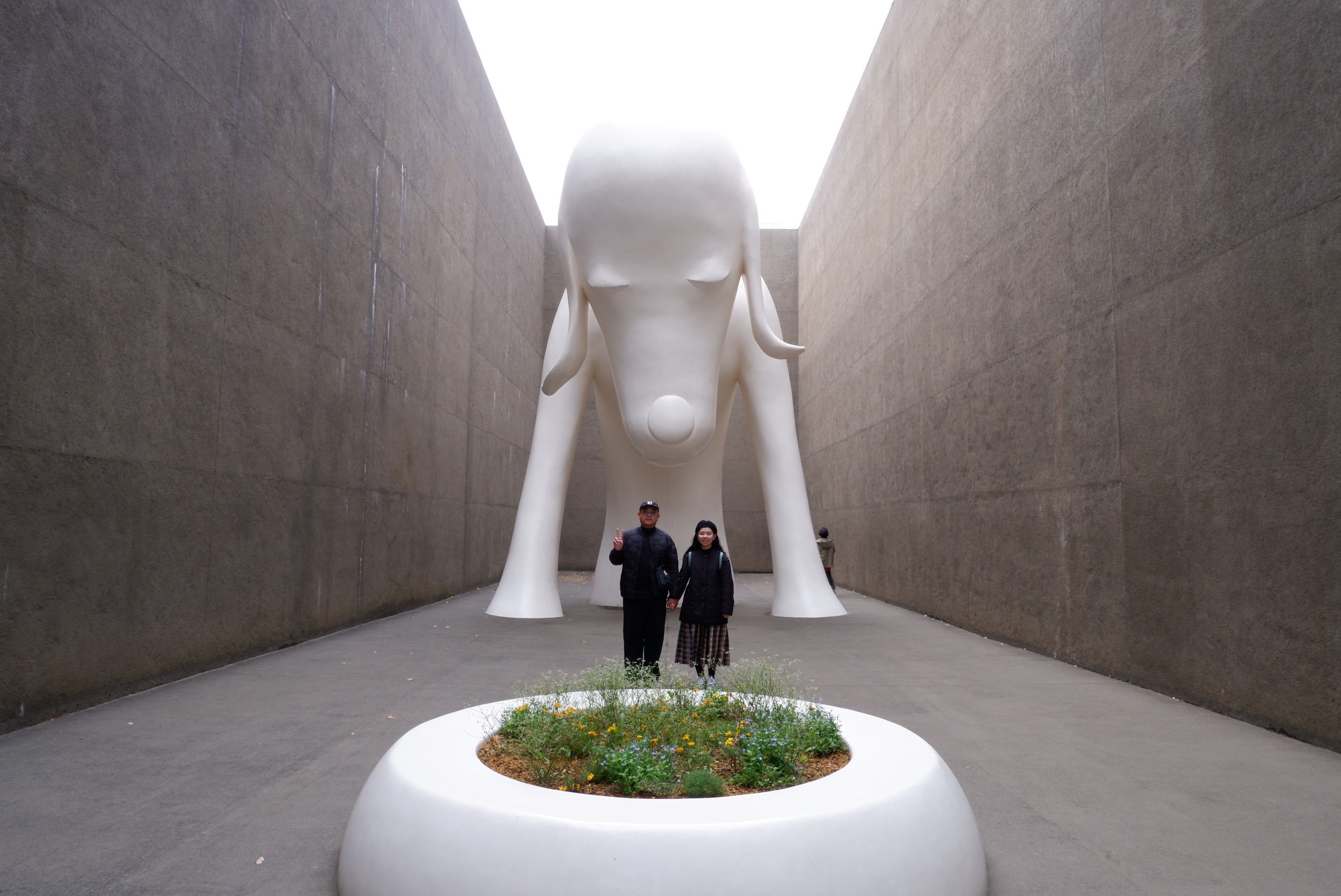青森縣立美術館