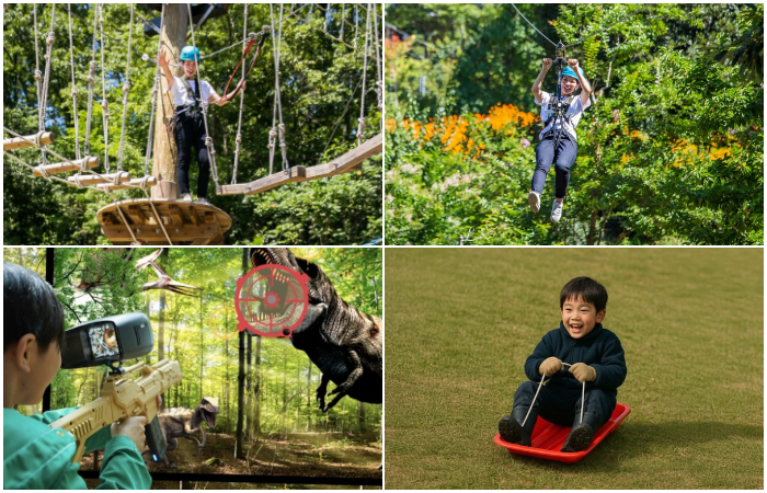 林音植物園遊樂設施