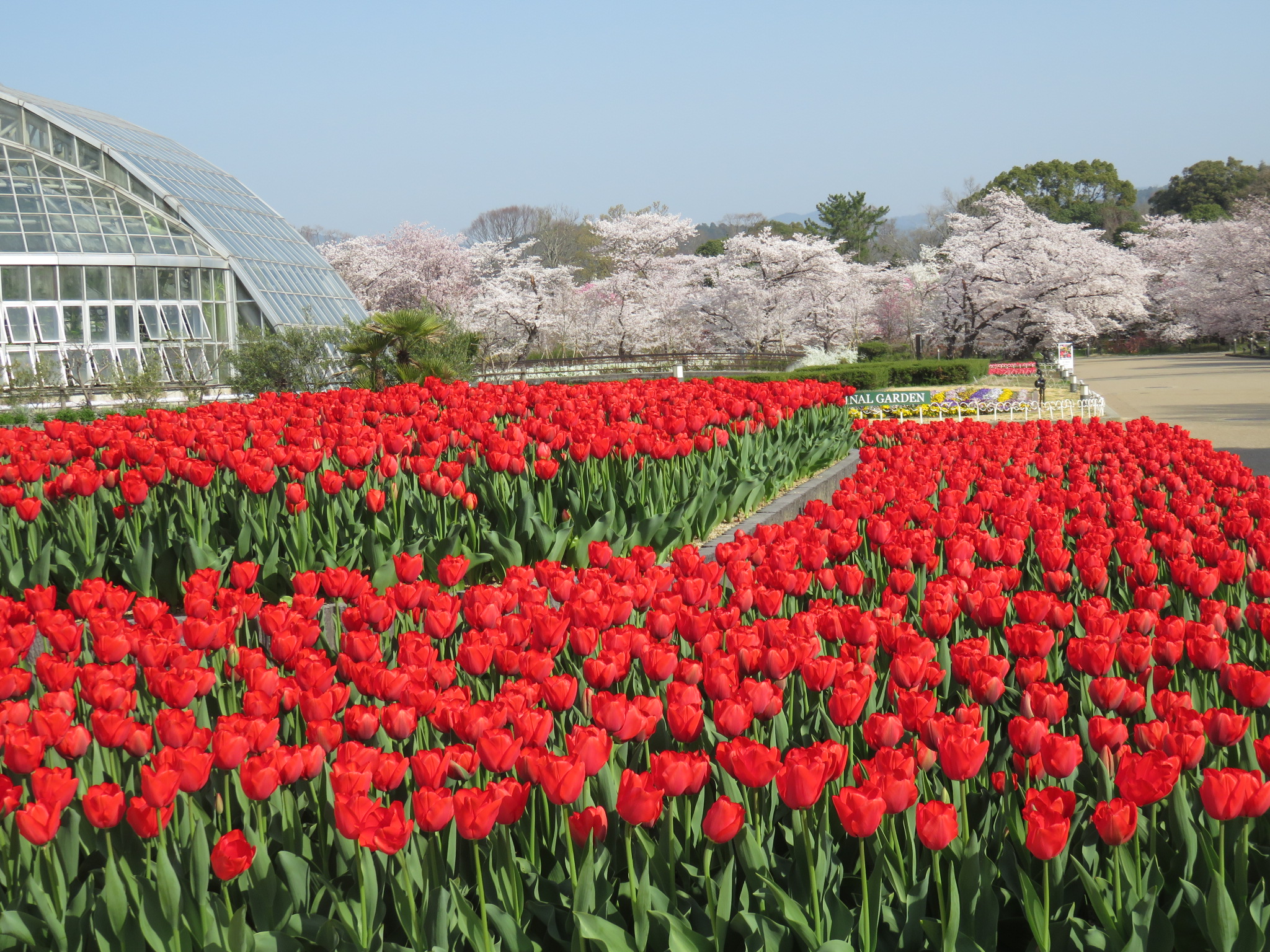 京都府立植物園