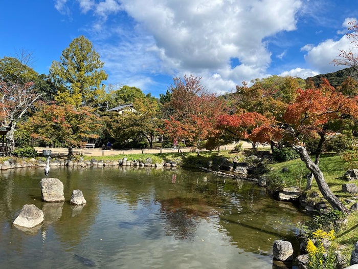 京都円山公園