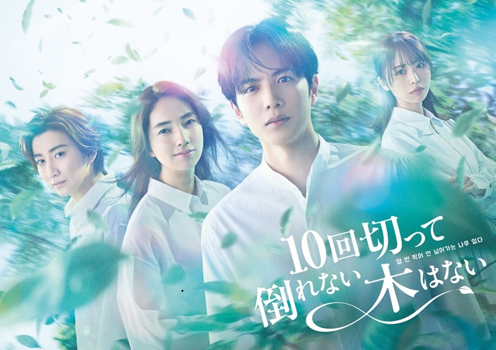 《沒有砍十次還不倒的樹》