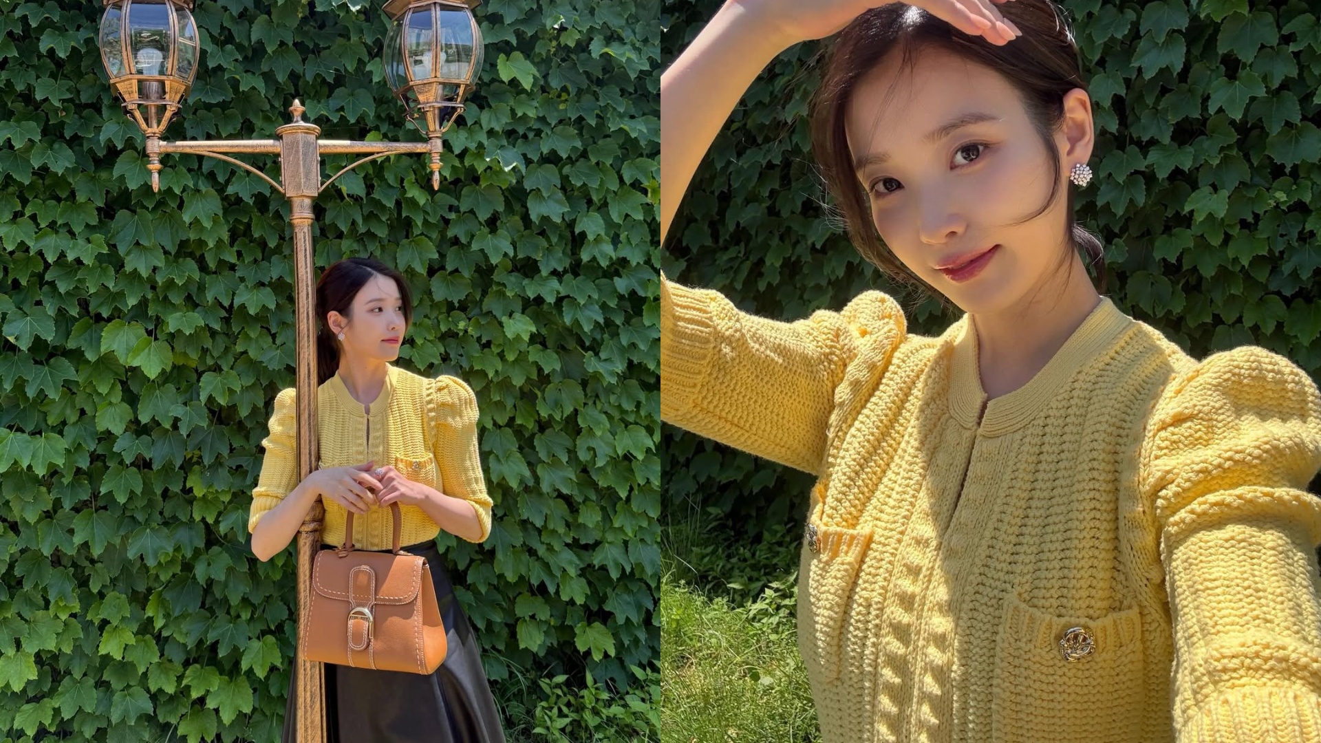 IU同款包Delvaux Brillant MM Surpiqu&eacute;