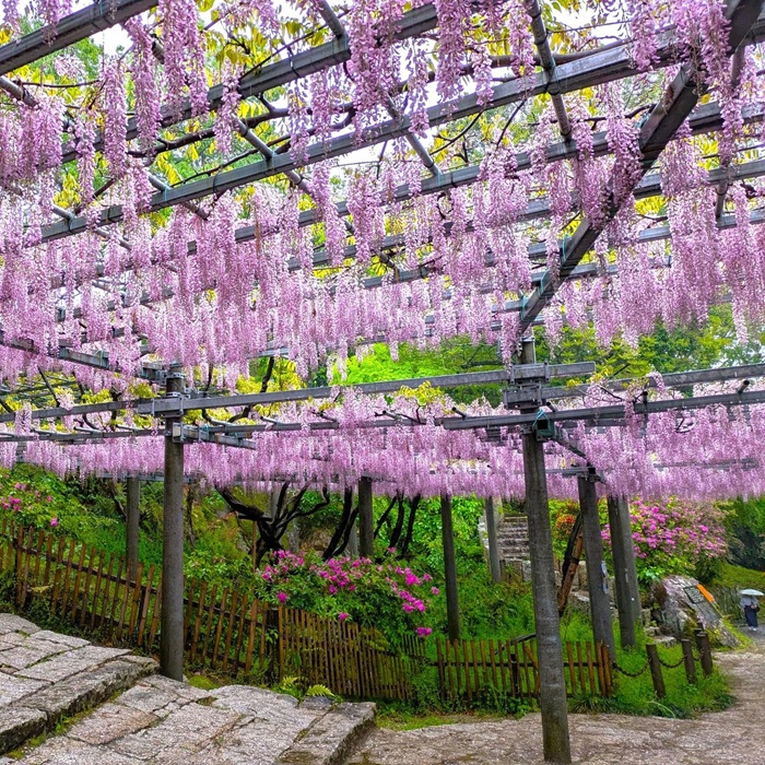 岡山倉敷 阿智神社