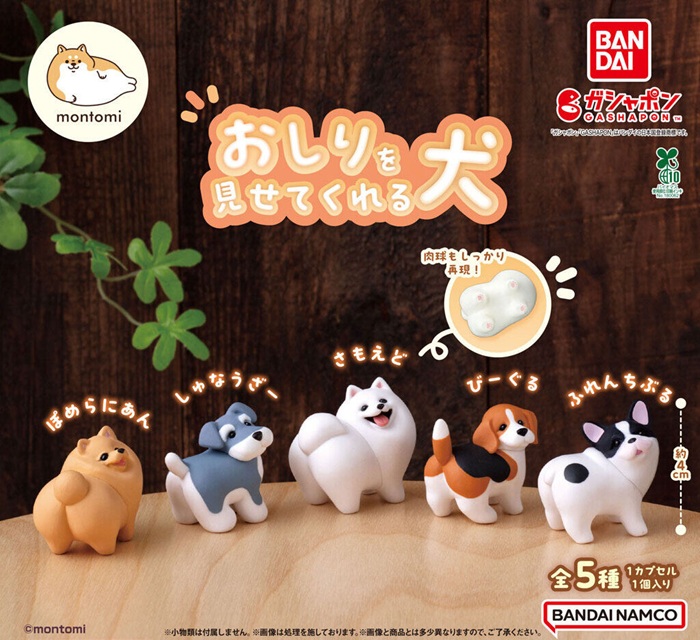 屁屁犬