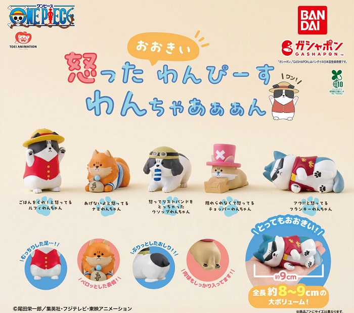 航海王狗狗貓貓