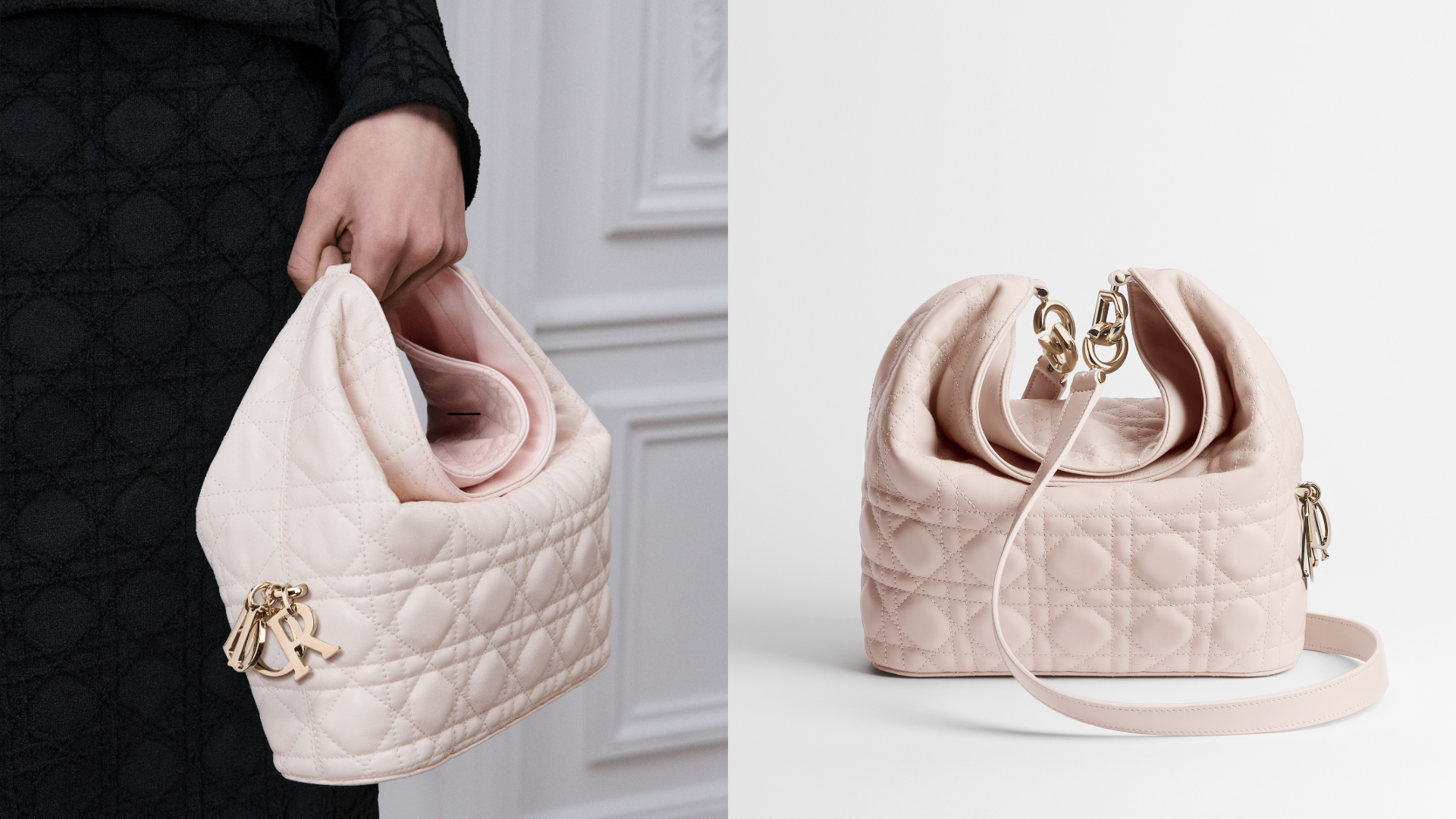 Dior Toujours Hobo