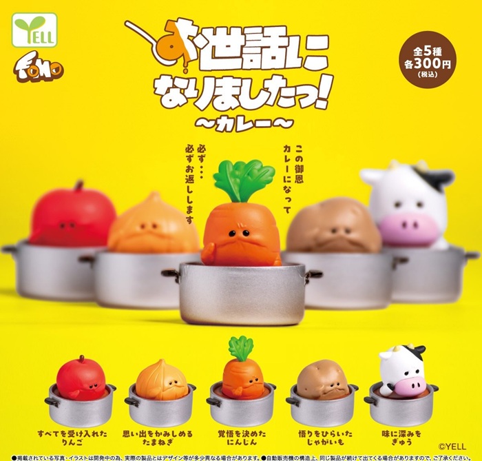 多謝款待咖哩料