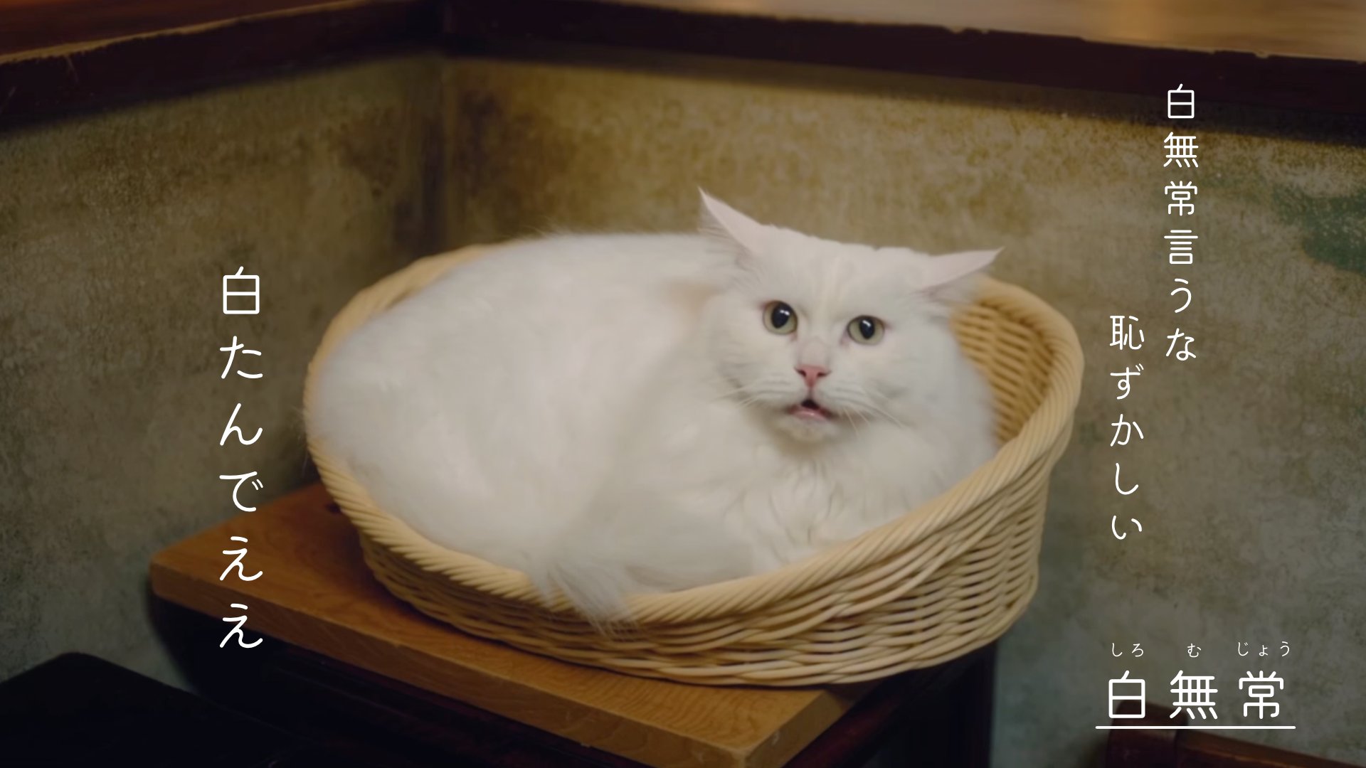 《十六夜膳房》
